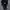 umbro tracktop jacket full tapped photo 4