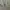 Biker Casual Windbreaker Pria gray photo 3