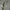 Biker Casual Windbreaker Pria gray photo 2