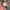 SEIKO ALBA ORIGINAL photo 1