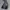 nike packable reflective jacket all of print photo 4