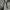 GREY CHORE SEMI BLAZER CANVAS WORK WEAR   photo 6