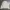 Lafudge Streetwear Windbreaker Pria cream photo 7