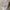 Lafudge Streetwear Windbreaker Pria cream photo 6