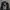 Dogto*n Black Dragon Ziphood photo 1