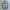 HALHAM Japan Denim Western Shirt L/S