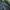 Biker Casual Track jacket Pria green black photo 4
