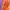 One Set Peach Colorbox photo 5