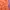 One Set Peach Colorbox photo 2