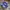 Adidas Casual Sneakers Wanita purple photo 1