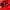 Cp company x Adidas popover goggle jacket in red photo 3