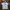 Kaos bayern muchen official photo 1