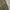 Desigual Tropical Camo Cargo Pants photo 5