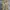 Vintage CREME Paris Floral Printed Flare Pants photo 1