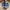 New Balance Casual Sneakers Pria blue photo 4
