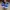 Puma Casual Sneakers Pria white blue photo 4
