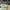 OFF WHITE OUT OF OFFICE WHITE LEATHER SNEAKERS , OFF WHITE O photo 5