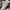 OFF WHITE OUT OF OFFICE WHITE LEATHER SNEAKERS , OFF WHITE O photo 6