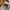Adidas Casual Sneakers Pria white photo 7
