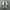 Adidas Casual Sneakers Pria white photo 5