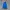 TRACKTOP ADIDAS EUROPE BLUE