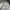 Women crop obzee kang jin young work Jacket  photo 7