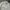 Women crop obzee kang jin young work Jacket  photo 5