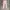 GAP Casual High waisted jeans Wanita pink photo 1