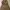 Gold Brocade Dress photo 1