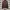 TRACKTOP ADIDAS SST X CARNOVSKY RGB photo 1