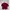 Crop Top Maroon