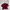 Crop Top Maroon