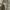 Aquascutum Scraf London Iconic Pattern Club Check