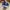 New Balance Casual Sneakers Pria navy photo 4