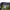 BLACKYAK QUILTED LIGHTWEIGHT OUTDOOR JACKET | OUTERWEAR | MN photo 5