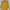 BRAND BLZR.ID photo 2