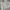 Military M65 Jacket photo 3