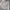 Military M65 Jacket photo 2