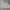 Military M65 Jacket photo 1