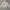 Military M65 Jacket photo 4