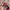 RVCA x Starter Embroidered Logo Snapback photo 4