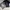 Lifework photo 1