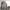 Korean Streetwear Avandress Laurel Oversized Hoodie photo 1
