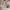 Coach Ashley Bag Beige photo 1