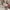 Coach Ashley Bag Beige photo 3