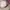 Coach Ashley Bag Beige photo 4