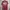 Kaos T Shirt Ron Jon Surf Shop Size M photo 2