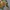 Vintage Look Y2K 2000's Eclair by Hui Beauty Beast photo 6