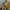 Vintage Look Y2K 2000's Eclair by Hui Beauty Beast photo 7