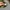 Vintage Look Y2K 2000's Eclair by Hui Beauty Beast photo 4